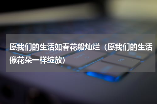 愿我们的生活如春花般灿烂（愿我们的生活像花朵一样绽放）