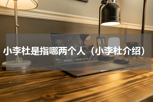 小李杜是指哪两个人（小李杜介绍）