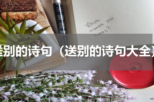 送别的诗句（送别的诗句大全）