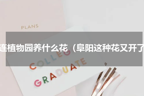 大连植物园养什么花（阜阳这种花又开了）