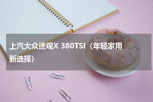 上汽大众途观X 380TSI（年轻家用新选择）