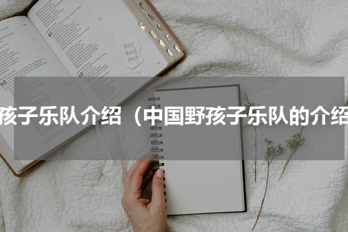 野孩子乐队介绍（中国野孩子乐队的介绍）