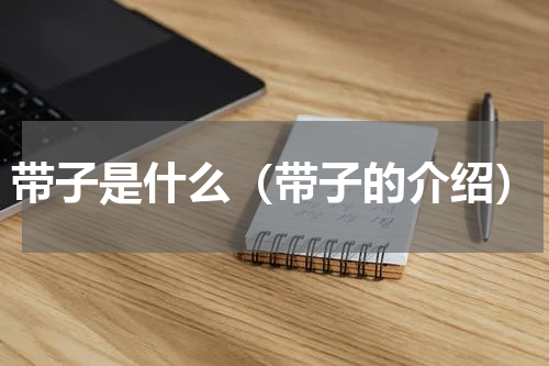 带子是什么（带子的介绍）