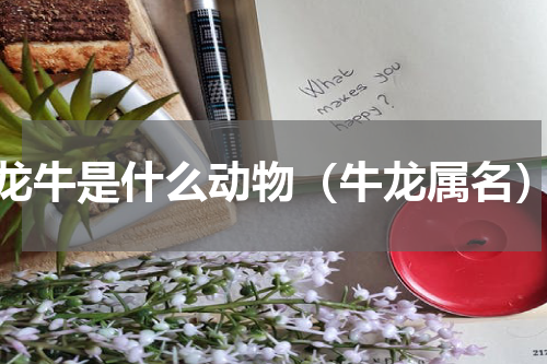 龙牛是什么动物（牛龙属名）