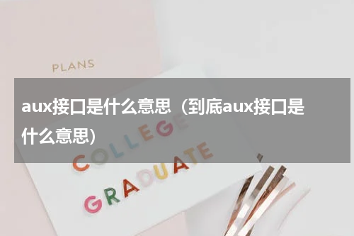 aux接口是什么意思（到底aux接口是什么意思）