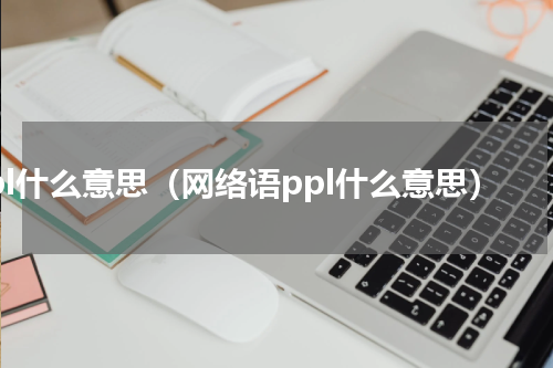 ppl什么意思（网络语ppl什么意思）