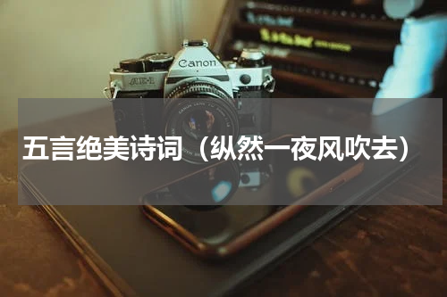 五言绝美诗词（纵然一夜风吹去）