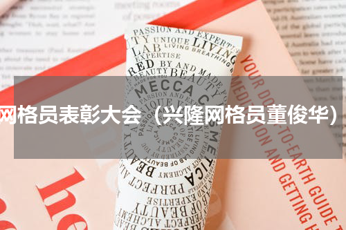 网格员表彰大会（兴隆网格员董俊华）