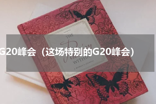 G20峰会（这场特别的G20峰会）