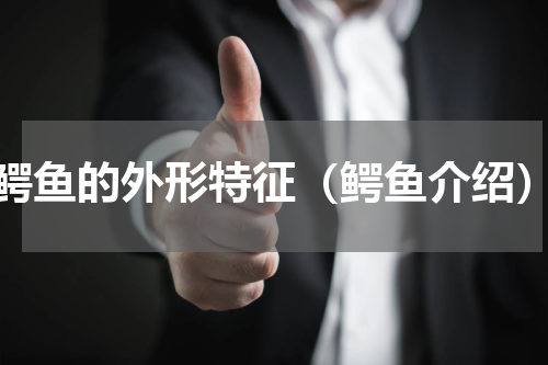 鳄鱼的外形特征（鳄鱼介绍）