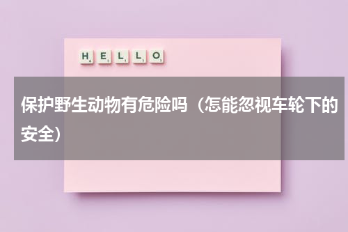 保护野生动物有危险吗（怎能忽视车轮下的安全）