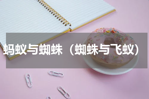 蚂蚁与蜘蛛（蜘蛛与飞蚁）