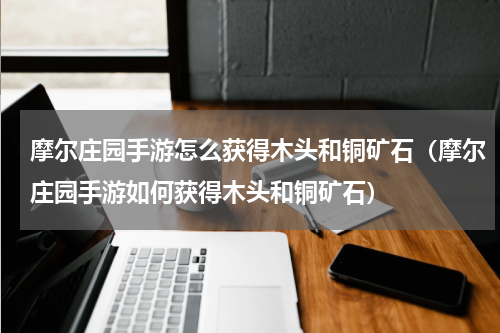 摩尔庄园手游怎么获得木头和铜矿石（摩尔庄园手游如何获得木头和铜矿石）