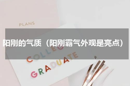 阳刚的气质（阳刚霸气外观是亮点）