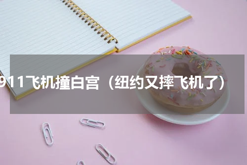 911飞机撞白宫（纽约又摔飞机了）