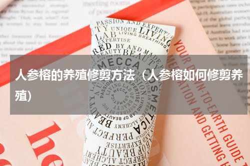 人参榕的养殖修剪方法（人参榕如何修剪养殖）