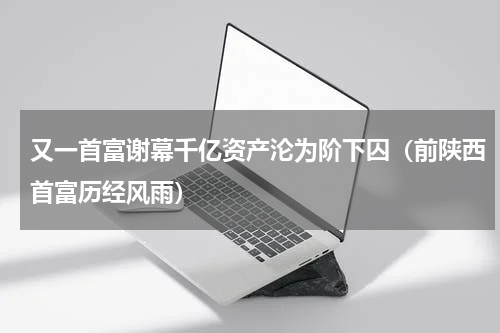 又一首富谢幕千亿资产沦为阶下囚（前陕西首富历经风雨）