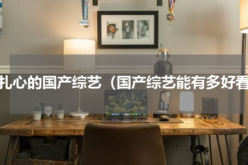 最扎心的国产综艺（国产综艺能有多好看）