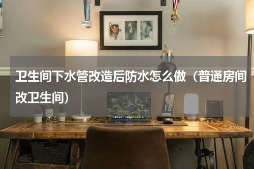 卫生间下水管改造后防水怎么做（普通房间改卫生间）