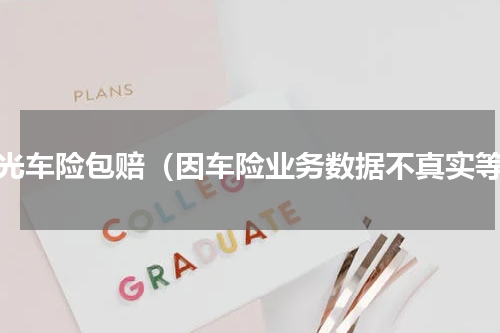 阳光车险包赔（因车险业务数据不真实等）