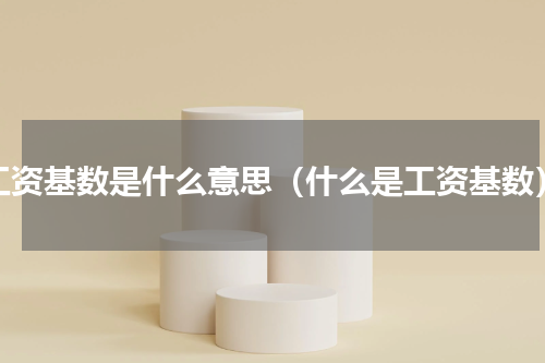 工资基数是什么意思（什么是工资基数）