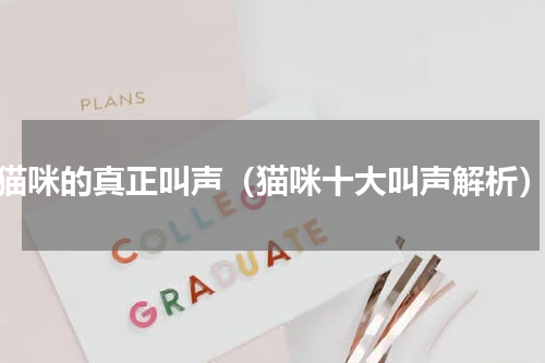 猫咪的真正叫声（猫咪十大叫声解析）