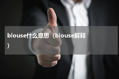 blouse什么意思（blouse解释）