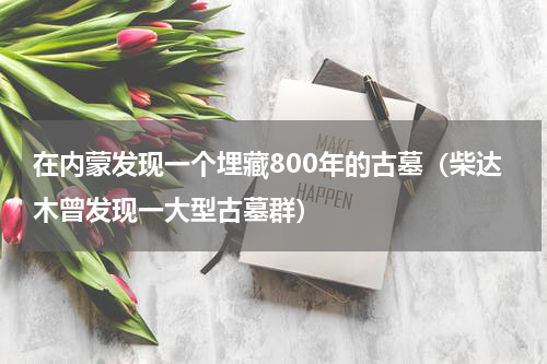 在内蒙发现一个埋藏800年的古墓（柴达木曾发现一大型古墓群）