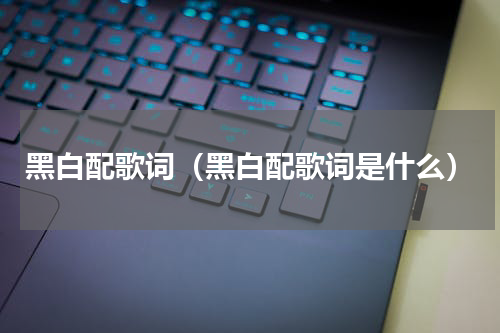 黑白配歌词（黑白配歌词是什么）