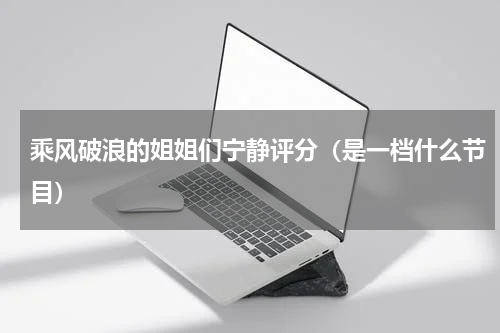 乘风破浪的姐姐们宁静评分（是一档什么节目）