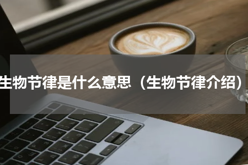 生物节律是什么意思（生物节律介绍）