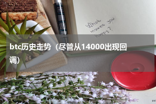 btc历史走势（尽管从14000出现回调）