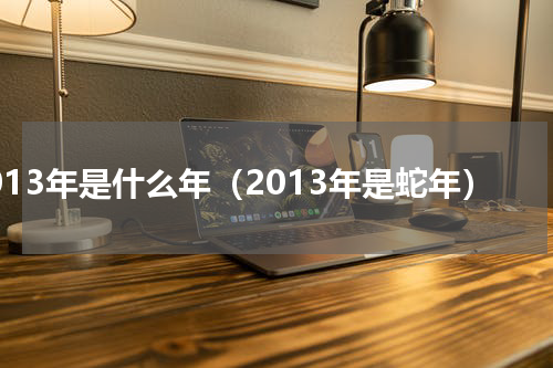 2013年是什么年（2013年是蛇年）