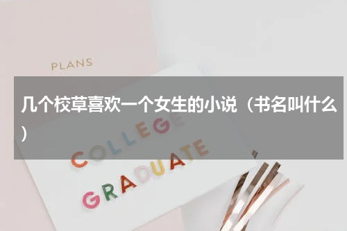 几个校草喜欢一个女生的小说（书名叫什么）