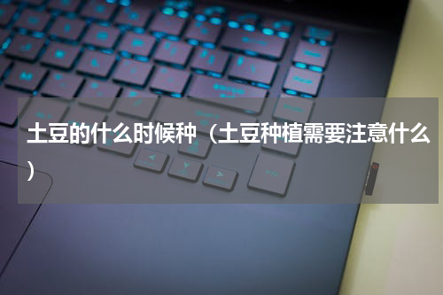 土豆的什么时候种（土豆种植需要注意什么）