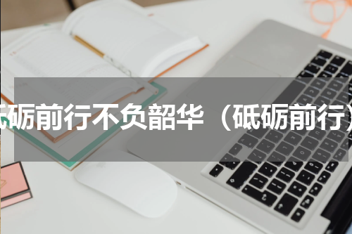 砥砺前行不负韶华（砥砺前行）