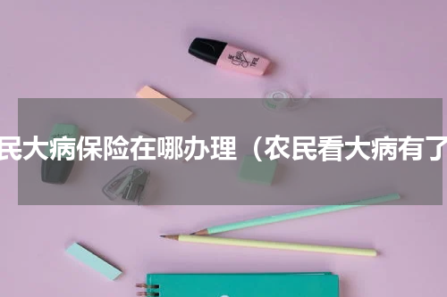农民大病保险在哪办理（农民看大病有了）