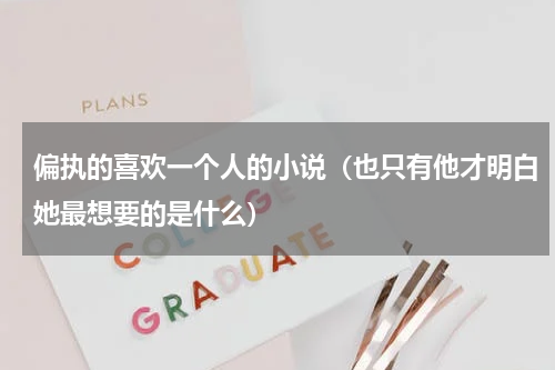 偏执的喜欢一个人的小说（也只有他才明白她最想要的是什么）