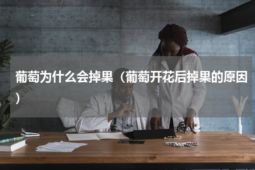 葡萄为什么会掉果（葡萄开花后掉果的原因）