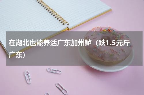 在湖北也能养活广东加州鲈（跌1.5元斤广东）