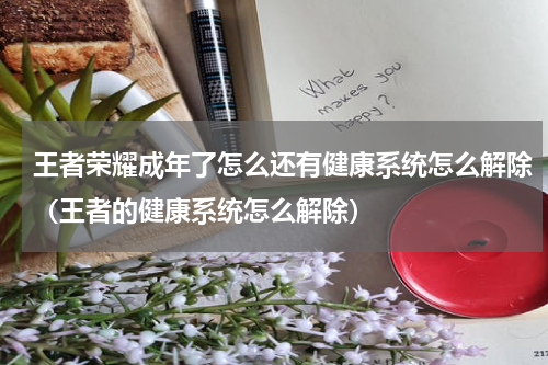 王者荣耀成年了怎么还有健康系统怎么解除（王者的健康系统怎么解除）