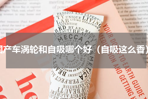 国产车涡轮和自吸哪个好（自吸这么香）