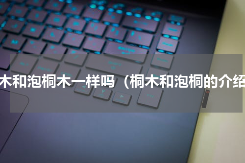 桐木和泡桐木一样吗（桐木和泡桐的介绍）