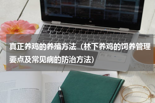 真正养鸡的养殖方法（林下养鸡的饲养管理要点及常见病的防治方法）