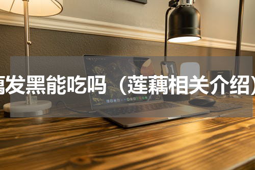 藕发黑能吃吗（莲藕相关介绍）