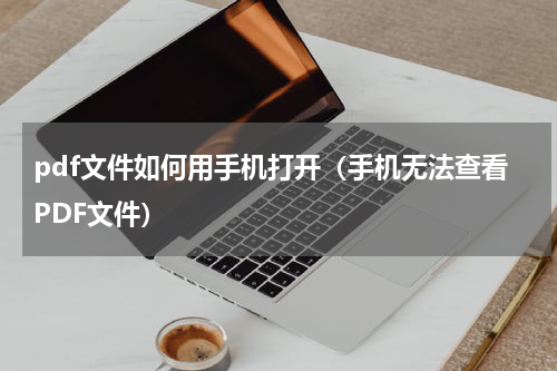 pdf文件如何用手机打开（手机无法查看PDF文件）