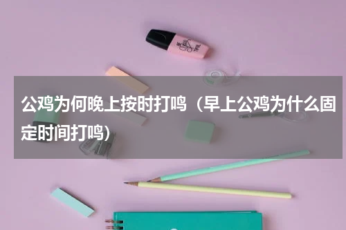 公鸡为何晚上按时打鸣（早上公鸡为什么固定时间打鸣）