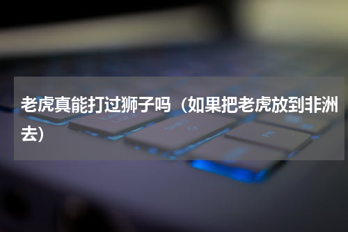 老虎真能打过狮子吗（如果把老虎放到非洲去）