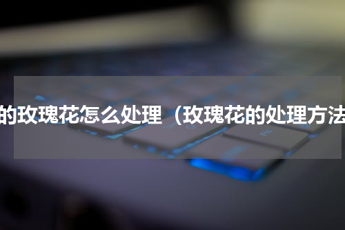 送的玫瑰花怎么处理（玫瑰花的处理方法）