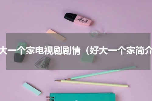 好大一个家电视剧剧情（好大一个家简介）
